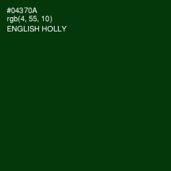 #04370A - English Holly Color Image
